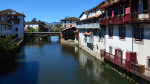 Courtier Saint-Maur-des-Fossés